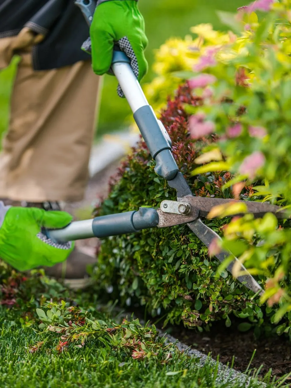Professional gardening services