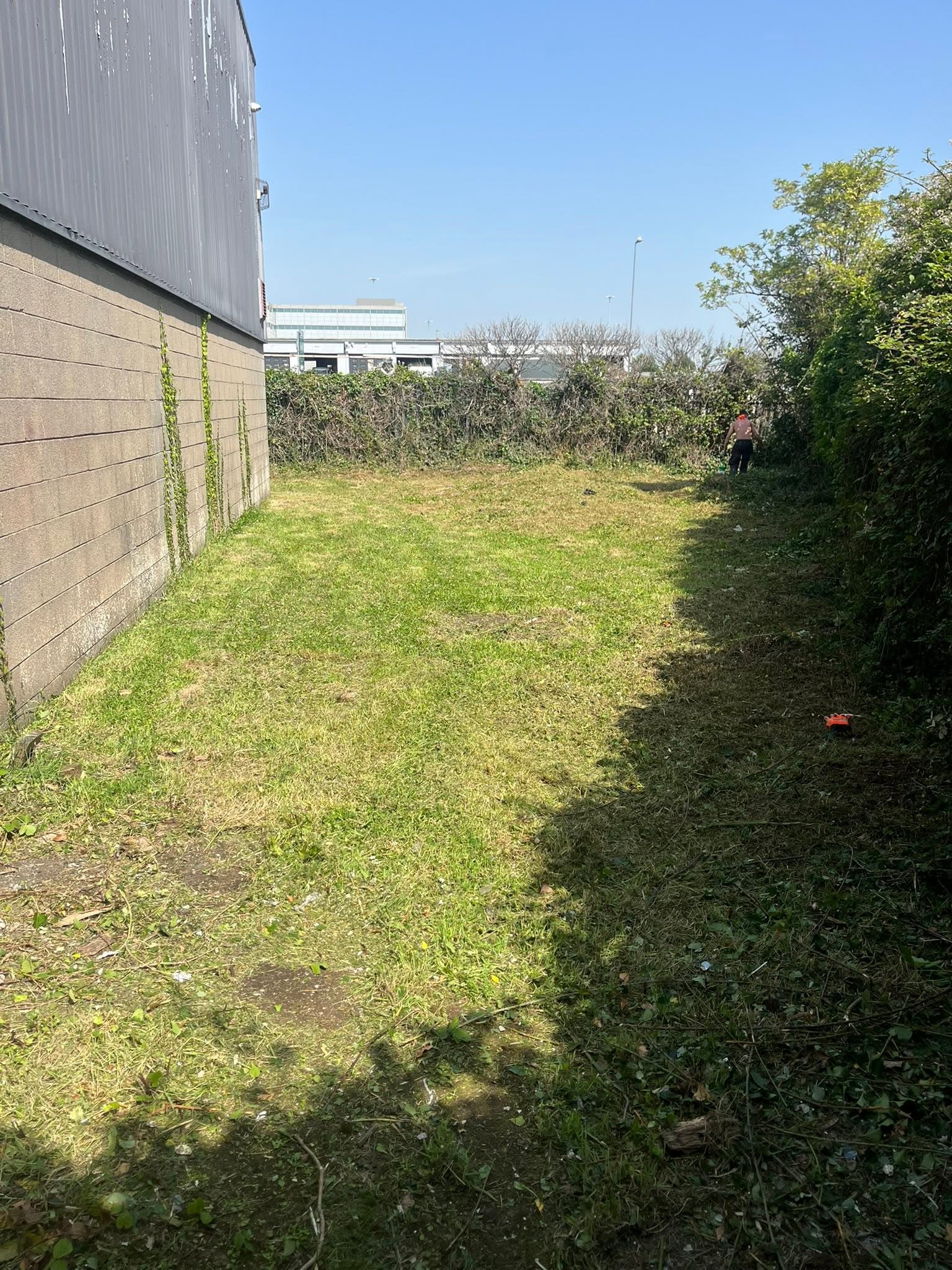 Garden design and makeover in Dublin