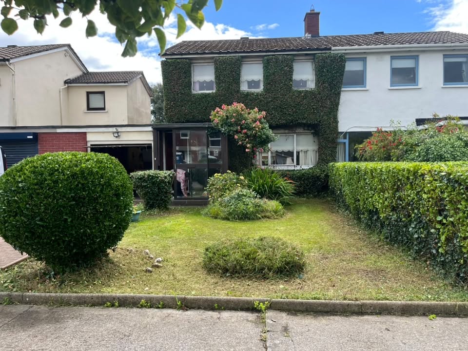 Garden clearance and clean up in Dublin